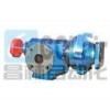 DPZ-1.2/0.6，DPZ-1.6/0.6，DPZ-3.3/0.6，DPZ-4/0.6，高真空強(qiáng)排式齒輪泵