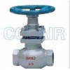 U11SM-16，U11SM-16C，U11SM-16P，U11SM-16R，內(nèi)螺紋柱塞閥