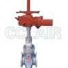 Z9B43NF，Z9B43DF，Z9B43YF，Z9B43F，Z9B43D，Z9B43Y，電動(dòng)平板閘閥