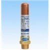 WP-1-DN15,WP-1-DN20,WP-1-DN25,yoshitake水錘消除器